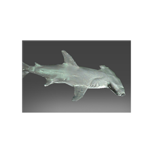 Autographed Recluse Reef Denizen