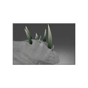 Auspicious Head-Ache