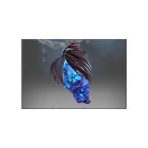 Autographed Cloak of the Frost Lord